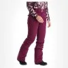 Rehall, Denny-R Pantalon De Ski Femmes Dark Violet 2 Rehall, Denny-R Pantalon De Ski Femmes Dark Violet -ColourWear Soldes rehall denny r ba skibroek gevoerd dames dark paars 22rehal145v3 BI 02